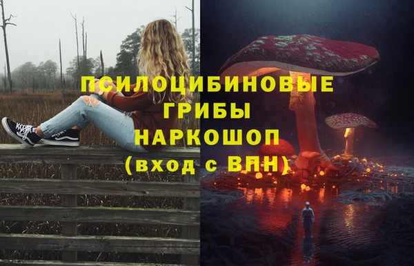 jwh Алзамай