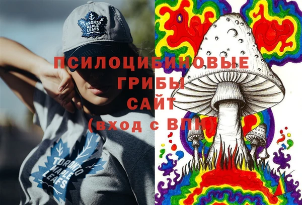 прущие крисы Карпинск
