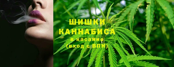 индика Абдулино