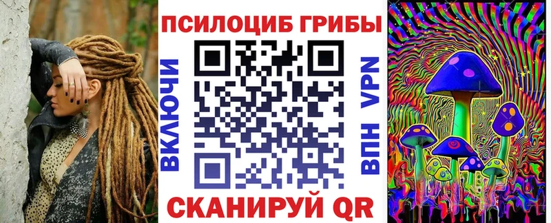 Псилоцибиновые грибы мицелий  ссылка на мегу ONION  Злынка  продажа наркотиков 